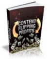 Thumbnail Content Flipping Profits - PLR 