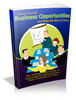 Thumbnail How to Identify Business Opportunities and Make the Most of Them - MRR