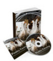 Thumbnail Poultry Farming Audio Books Comes with Transferable MRR