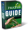 Thumbnail Life Insurance PLR Website Templates Pack Thumbnail Life Insurance PLR Website Templates Pack