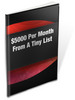 Thumbnail $5,000 Per Month From A Tiny List MRR Ebook