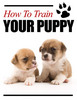 Thumbnail How to Train Your Puppy Unrestricted PLR Ebook Thumbnail How to Train Your Puppy Unrestricted PLR Ebook