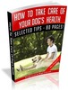 Thumbnail How To Take Care Of Your Dogs Health MRR Ebook Thumbnail How To Take Care Of Your Dogs Health MRR Ebook