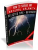 Thumbnail How To Survive Any Natural Calamity MRR with Giveaway Rights eBook