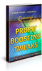 Thumbnail Profit Boosting Tweaks Unrestricted PLR Ebook