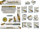 Thumbnail Leopard Gecko Website Template Plr Pack