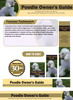 Thumbnail Poodle Website Template PSD PLR Pack - Dog Breeds