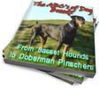 Thumbnail Dog Breeds: Basset Hounds to Doberman Pinschers PLR Reports Thumbnail Dog Breeds: Basset Hounds to Doberman Pinschers PLR Reports