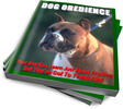 Thumbnail Dog Obedience: Your Dog Can Learn Just About Anything