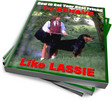 Thumbnail How to Get Your Best Friend to Behave Like Lassie Thumbnail How to Get Your Best Friend to Behave Like Lassie