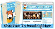 Thumbnail Puppy Training Niche Wordpress Blog Thumbnail Puppy Training Niche Wordpress Blog