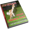 Thumbnail Shiba Inu Secrets - How To Keep Your Shiba Inu Healthy