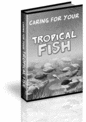 Thumbnail Tropical Aquarium Fish Care Guide