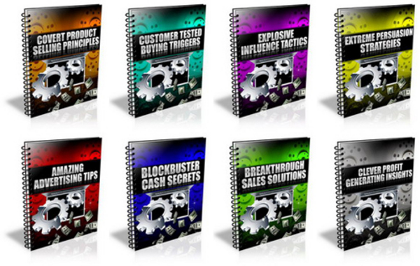 Product picture PLR Report 8 Pack and Audio Recording Included! - PLR 