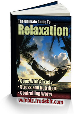 Product picture The Ultimate Guide to Stress Reduction and Relaxation