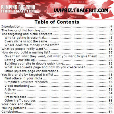 Product picture Pumping Out Your First Email List - MRR License