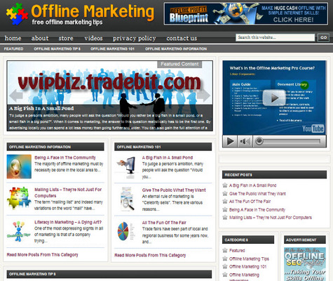 Product picture Offline Marketing Niche Website PLR