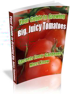 Product picture Your Guide To Growing Big, Juicy Tomatoes: Secrets Every Gardener Must Know!