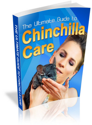 Product picture The Ultimate Guide to Chinchilla Care: Secrets To Raising Healthy Chinchillas 