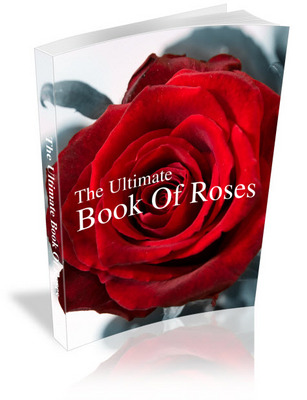 Product picture The Ultimate Book of Roses: Grow Your Own Gorgeous Vibrant Roses