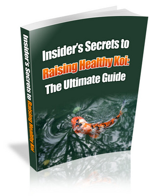 Product picture Insiders Secrets To Raising Healthy Koi - The Ultimate Guide!