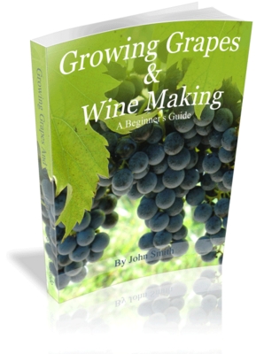 Product picture Growing Grapes and Wine Making: A Beginners Guide