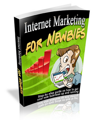 Product picture Internet Marketing for Newbies with Transferable MRR