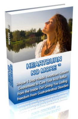 Product picture Heartburn No More Ready Made Clickbank Review Sites!