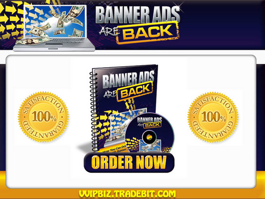 Product picture * New 2010 * Banner Ads Are Back