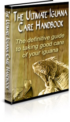 Product picture (Unrestricted PLR) The Ultimate Iguana Care Handbook Plr Ebook