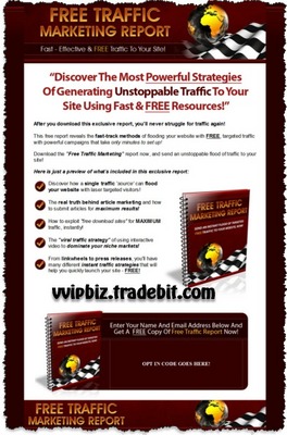 Product picture Free Traffic Marketing - PLR