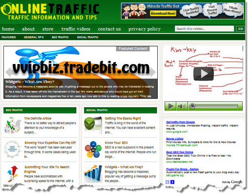 Product picture Online Traffic Niche Wordpress Blogs (3 Income Streams) + Review Sites