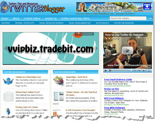 Product picture Twitter Marketing PLR Website