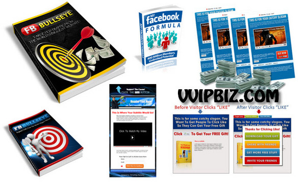 Product picture FB Bullseye: Targeted Traffic From The Worlds Biggest Website!