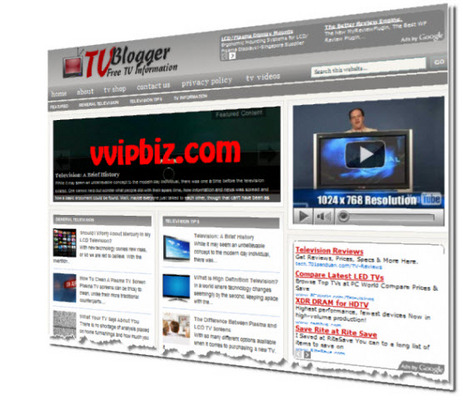 Product picture TV Television Niche Wordpress Blogs + Review Sites