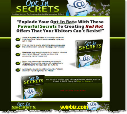 Product picture Opt-in Secrets: Creating An Irresistible Incentive Offer