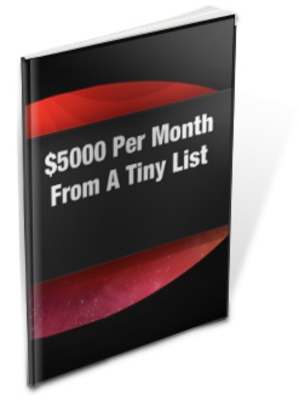 Product picture $5,000 Per Month From A Tiny List MRR Ebook