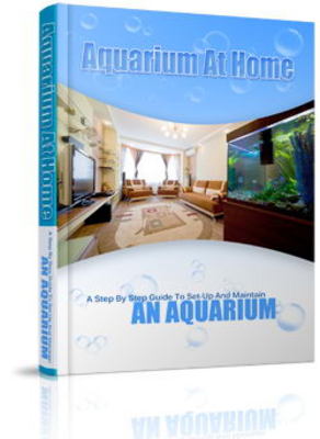 Product picture Aquarium PLR Website Templates Pack