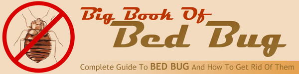 Product picture Bed Bugs Website Templates PLR Pack