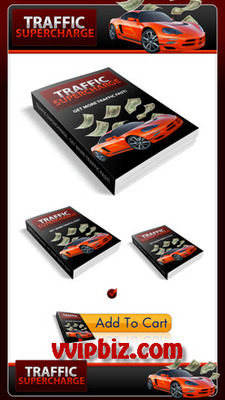 Product picture Traffic Generation Plr Minisite Templates & PLR Ebook Packs