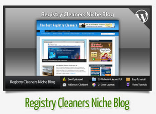Product picture Registry Cleaners Niche Blog With Instructional Videos