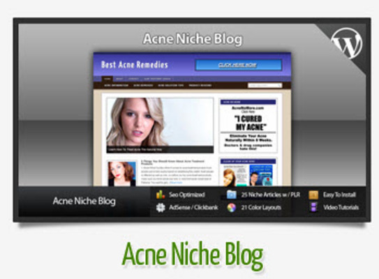 Product picture Acne Niche Blog With Instructional Videos