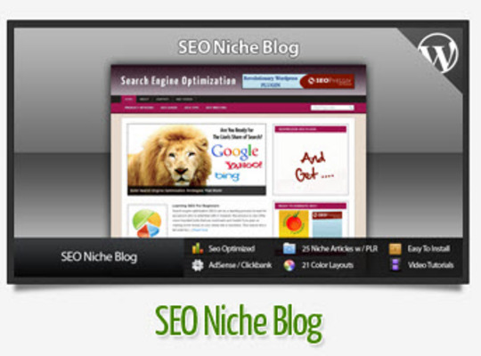 Product picture Search Engine Optimization Niche Blog Instructional Videos