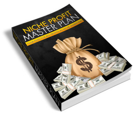 Product picture Niche Profits Master Plan PLR Ebook
