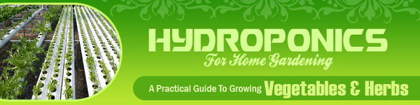 Product picture Hydroponics Website Template Plr Pack