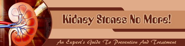 Product picture Kidney Stones Website Template Plr Pack