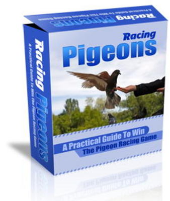 Product picture Racing Pigeons Website Template Plr Pack - Homing Pigeons