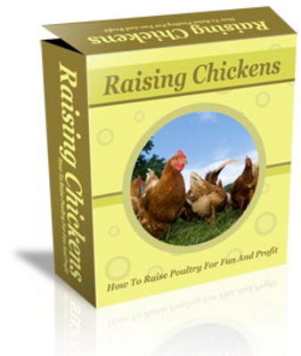 Product picture Raising Chickens Website Template Plr Pack - Raising Poultry
