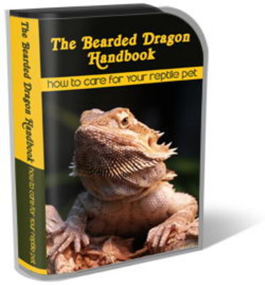 Product picture Bearded Dragon Website Template Plr Pack