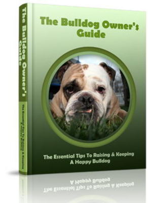 Product picture Bulldog Website Template Plr Pack